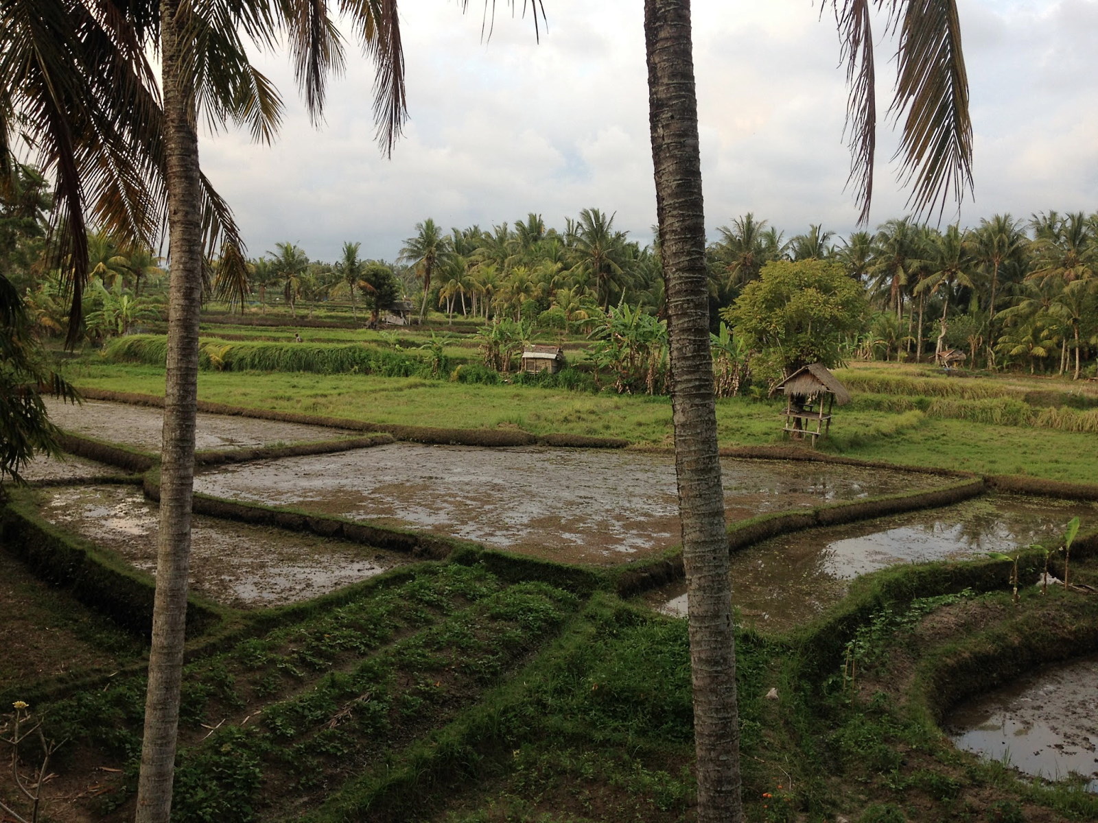 Bali