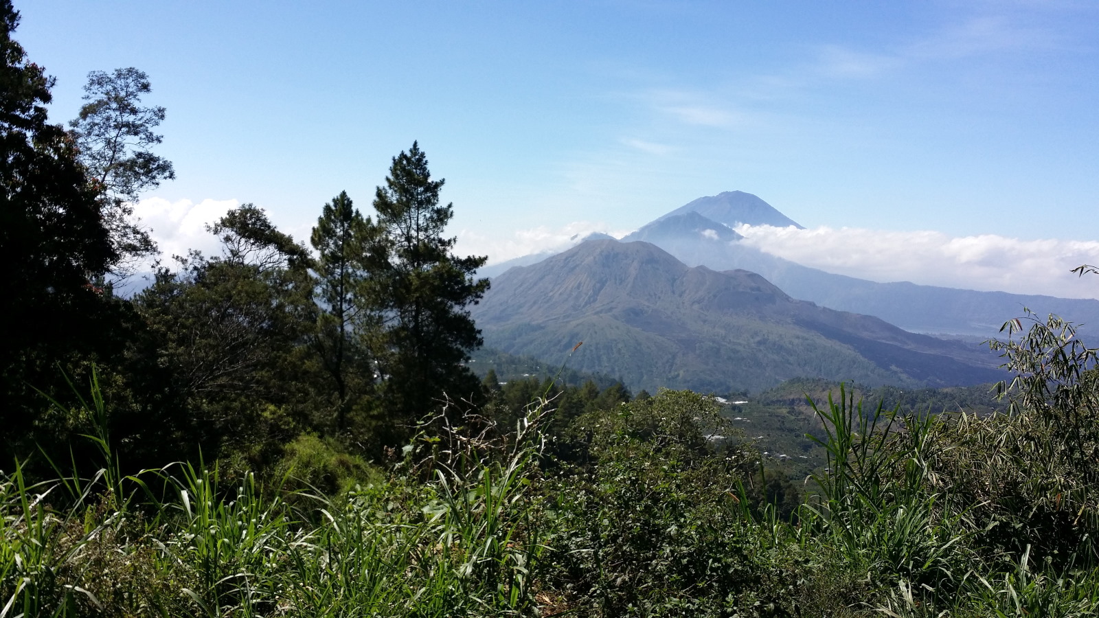 Bali