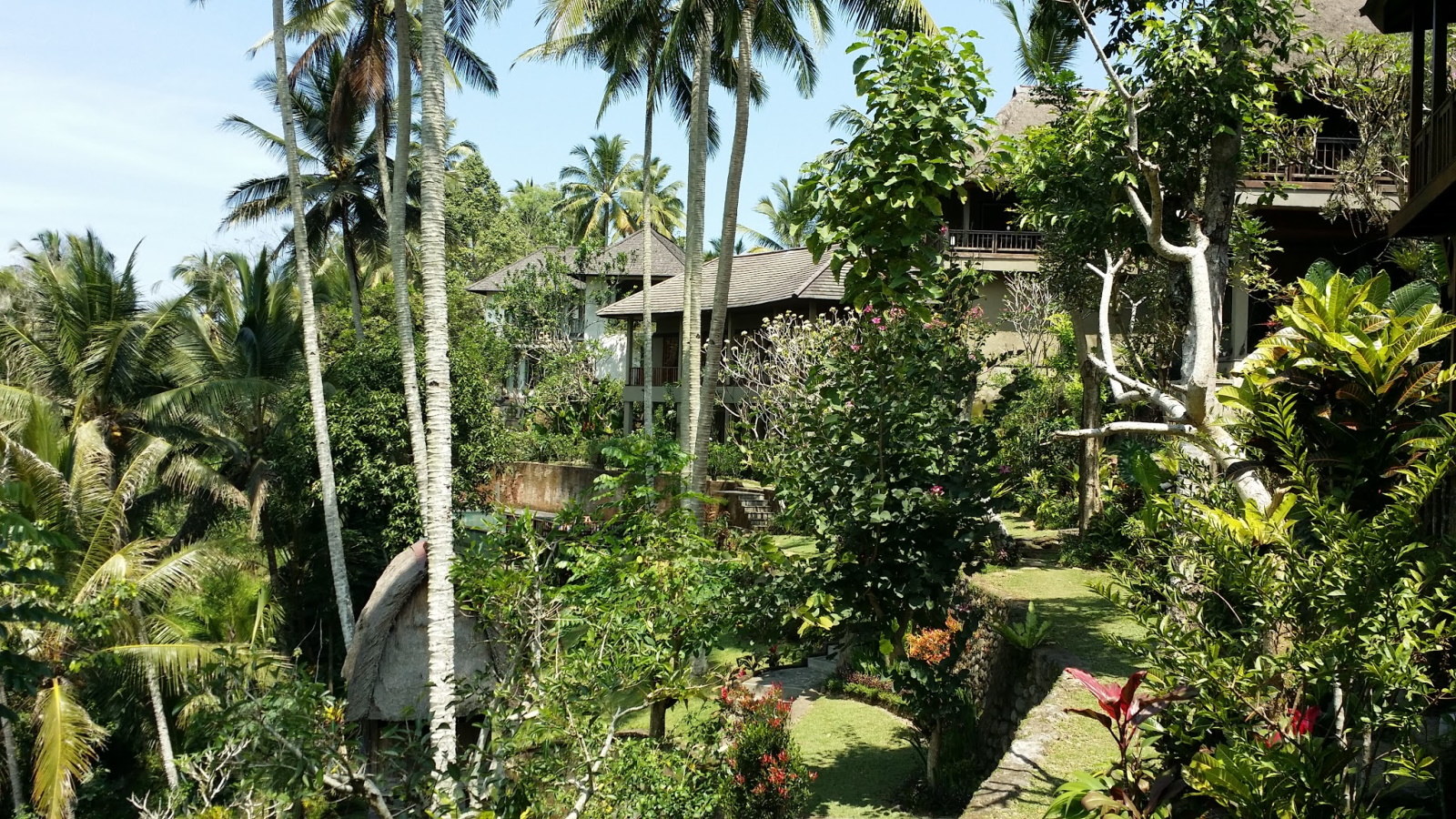 Bali